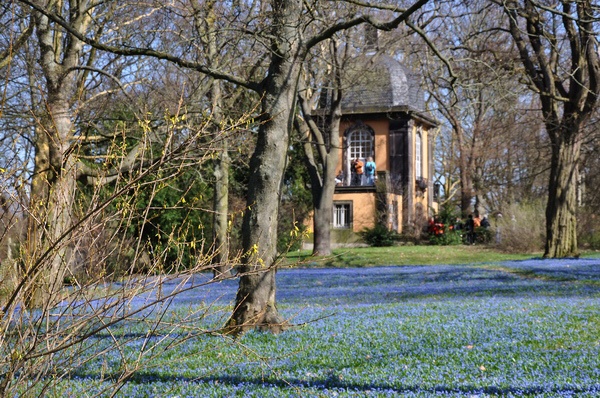 Scilla   040.jpg